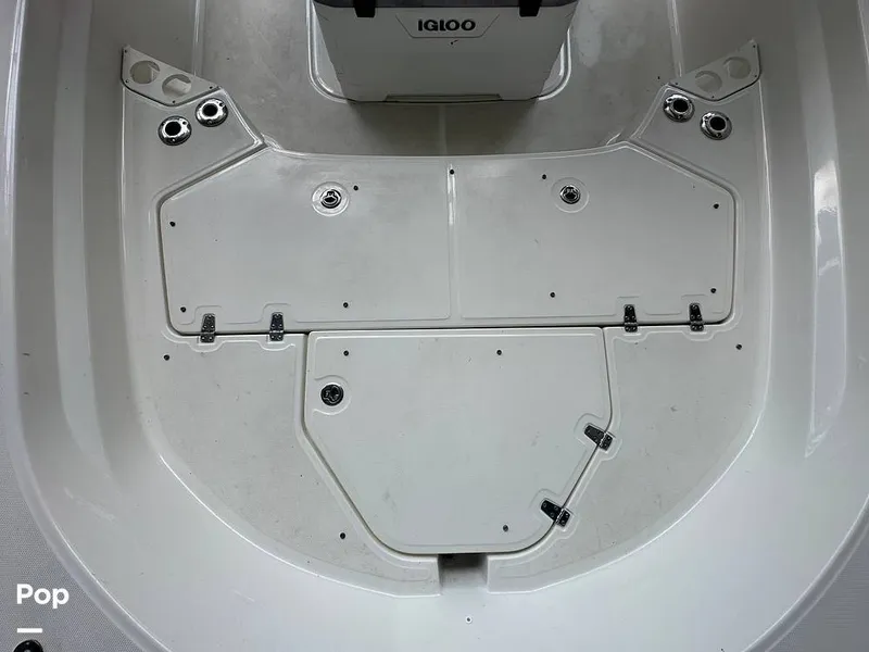 Slide: The Image of Boston Whaler 210 Montauk 2024 - 15585054
