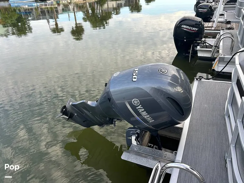 Slide: The Image of Bennington 22 SX 2023 - 15678714