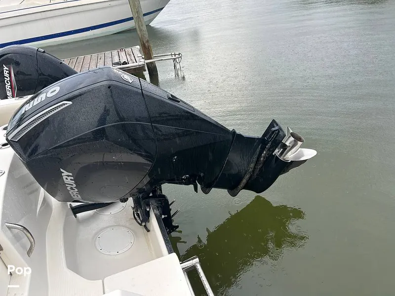 Slide: The Image of Sailfish 242 CC 2023 - 15643040