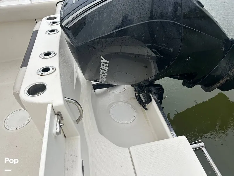 Slide: The Image of Sailfish 242 CC 2023 - 15643041