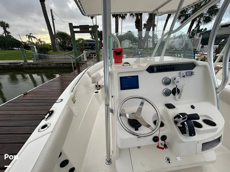 Slide: The Image of Sailfish 242 CC 2023 - 15643045