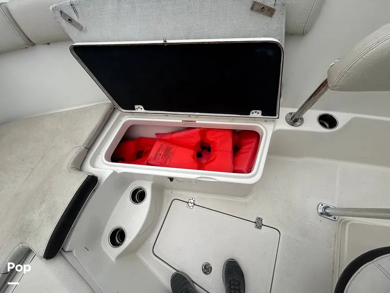 Slide: The Image of Sailfish 242 CC 2023 - 15643050