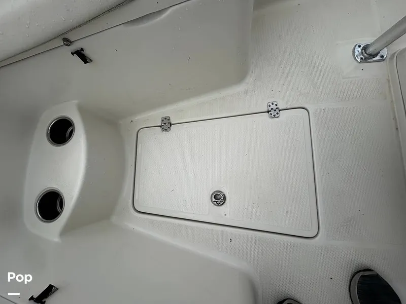 Slide: The Image of Sailfish 242 CC 2023 - 15643055