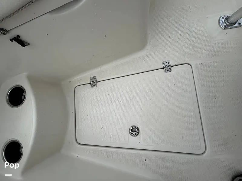 Slide: The Image of Sailfish 242 CC 2023 - 15643056