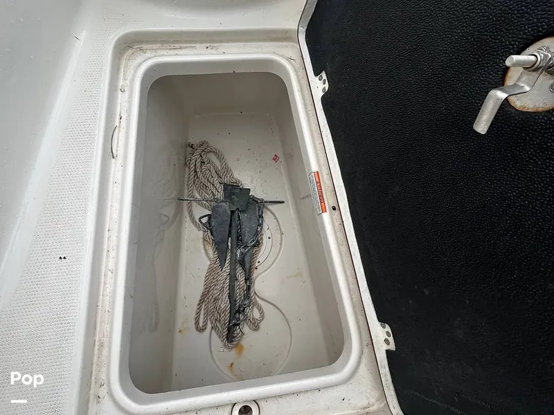 Slide: The Image of Sailfish 242 CC 2023 - 15643057