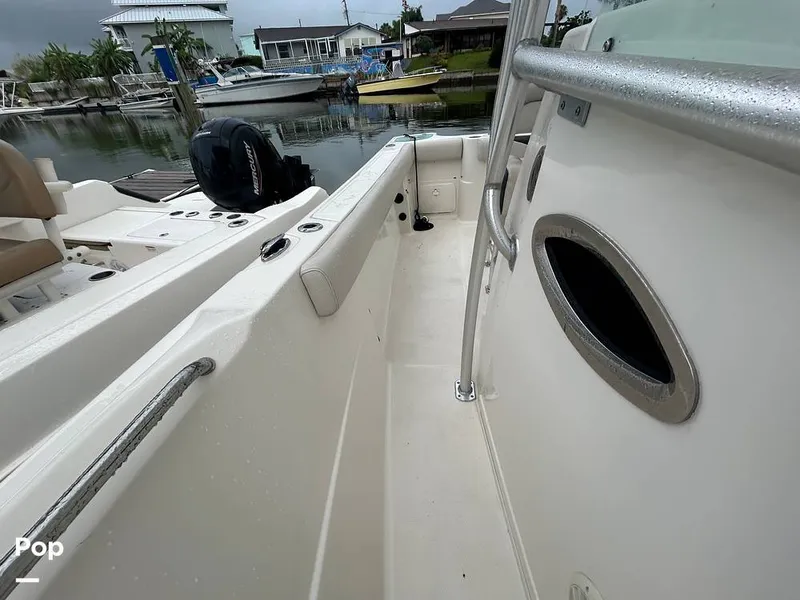 Slide: The Image of Sailfish 242 CC 2023 - 15643061