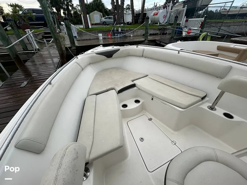 Slide: The Image of Sailfish 242 CC 2023 - 15643047