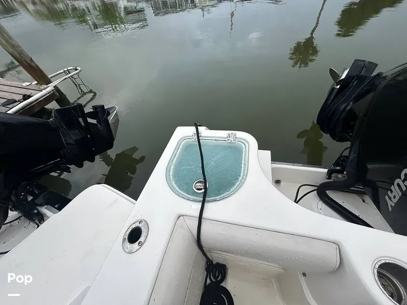 Slide: The Image of Sailfish 242 CC 2023 - 15643065