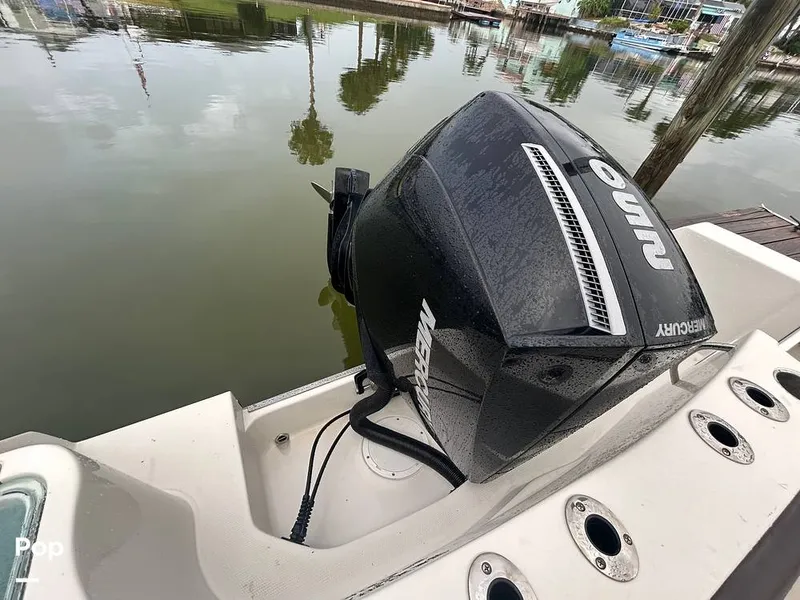 Slide: The Image of Sailfish 242 CC 2023 - 15643067