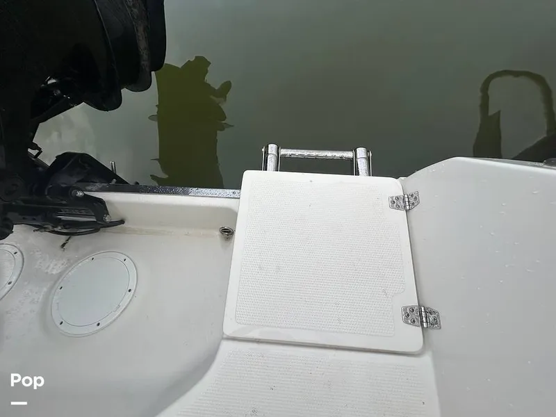 Slide: The Image of Sailfish 242 CC 2023 - 15643070