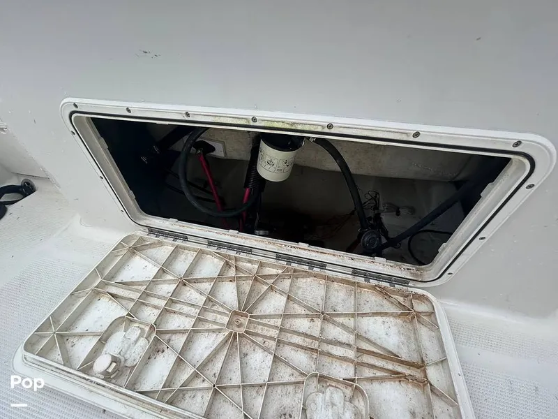 Slide: The Image of Sailfish 242 CC 2023 - 15643072