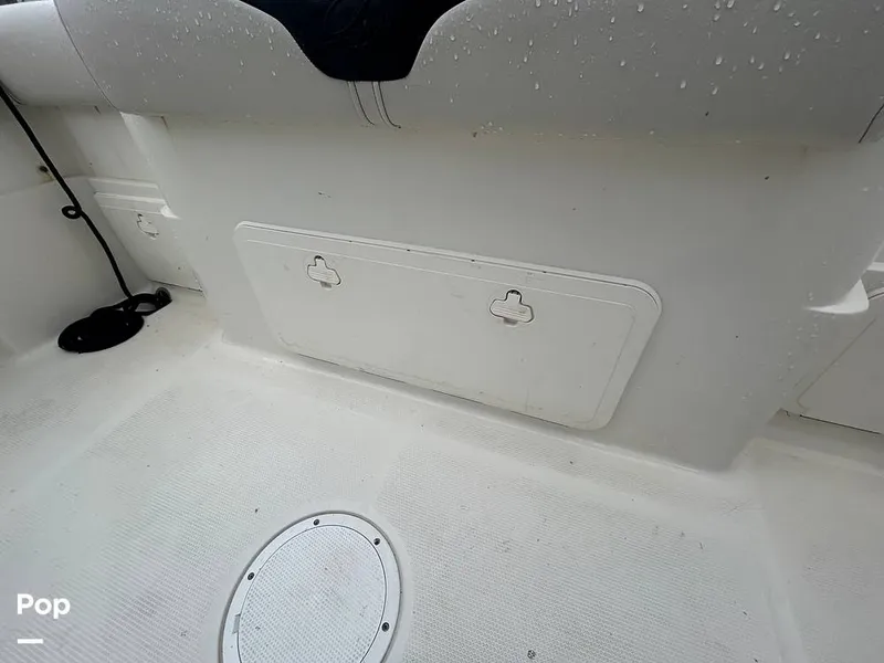 Slide: The Image of Sailfish 242 CC 2023 - 15643073