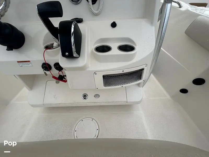 Slide: The Image of Sailfish 242 CC 2023 - 15643075