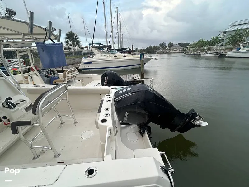 Slide: The Image of Sailfish 242 CC 2023 - 15643039