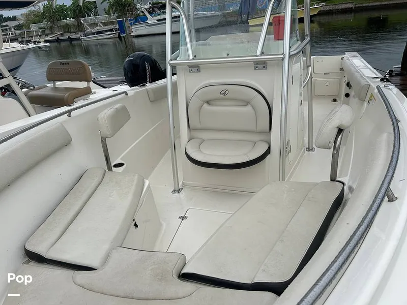 Slide: The Image of Sailfish 242 CC 2023 - 15643035