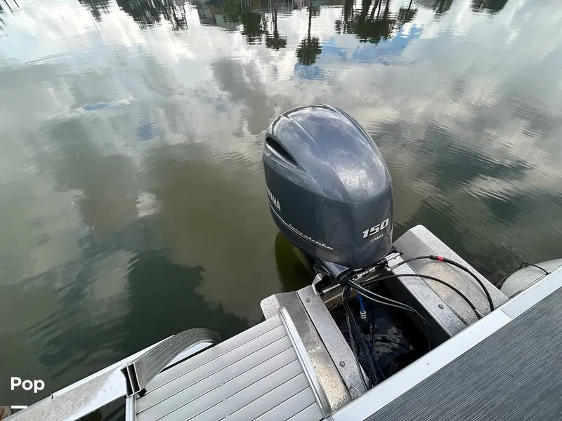 Slide: The Image of Bennington 22 SX 2023 - 15639033