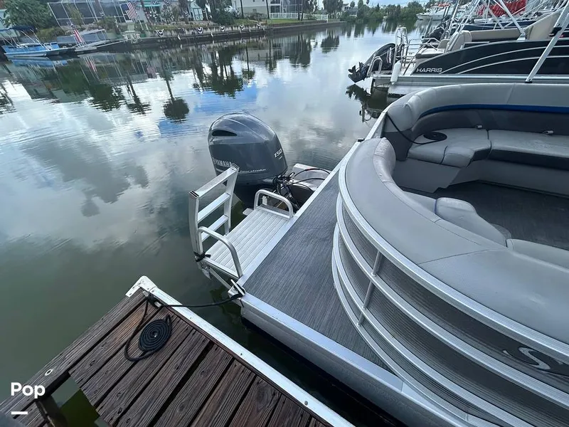 Slide: The Image of Bennington 22 SX 2023 - 15639028