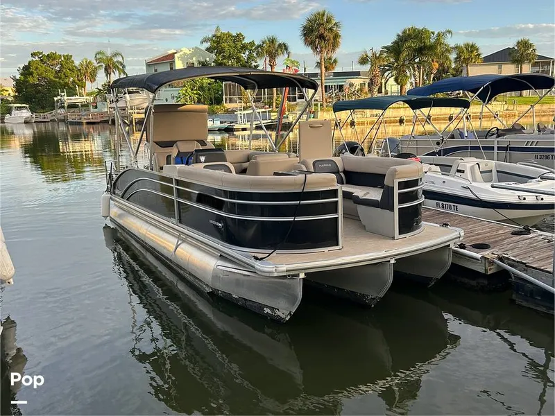 Slide: The Image of Harris 230 2024 - 15677884