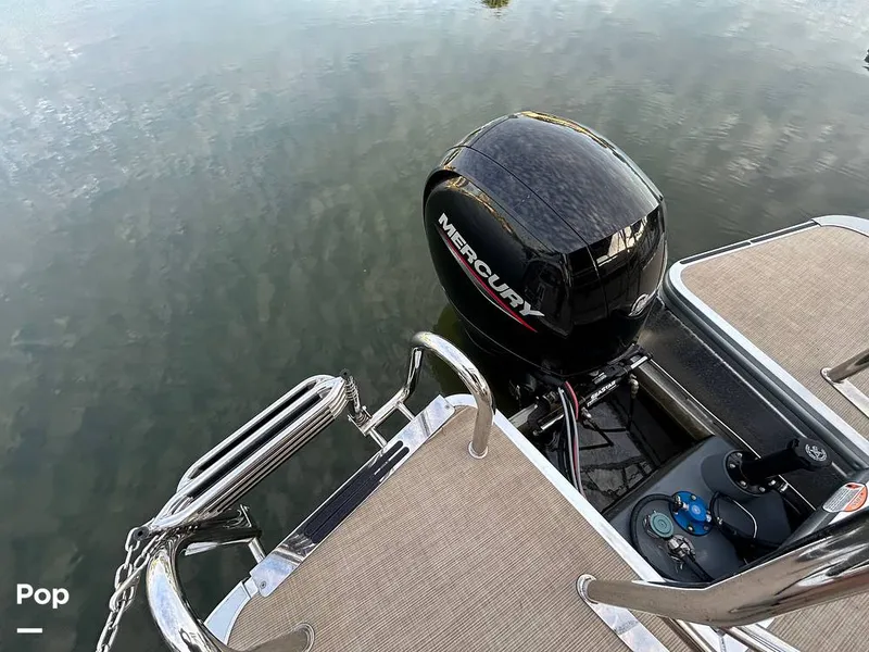 Slide: The Image of Harris 230 2024 - 15677899