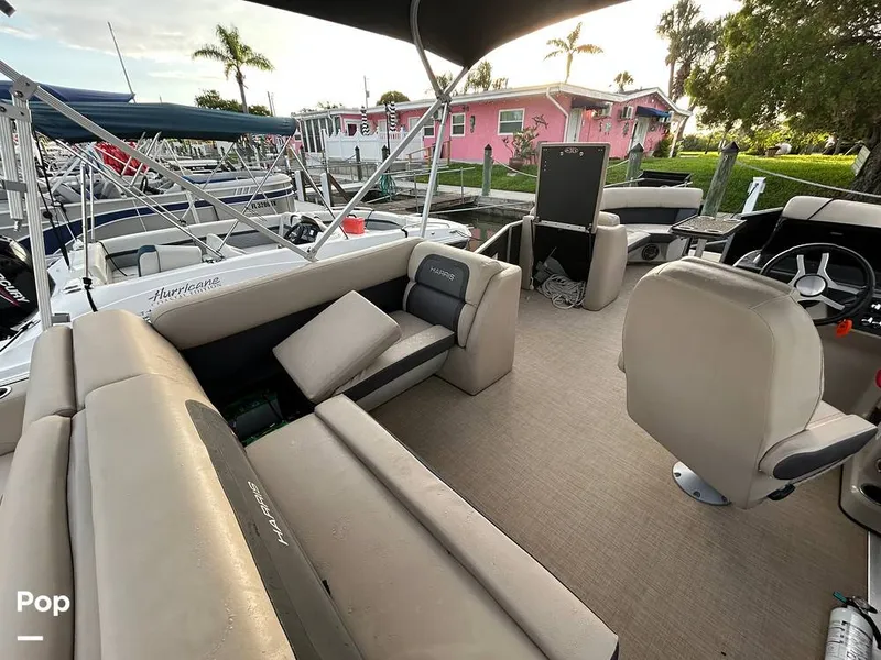 Slide: The Image of Harris 230 2024 - 15677905