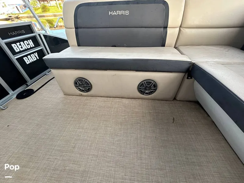 Slide: The Image of Harris 230 2024 - 15677909