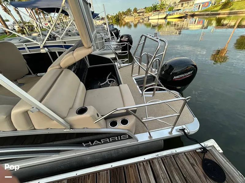 Slide: The Image of Harris 230 2024 - 15677888