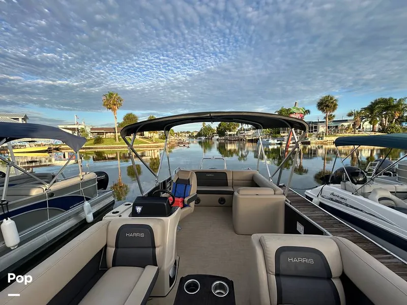 Slide: The Image of Harris 230 2024 - 15677933