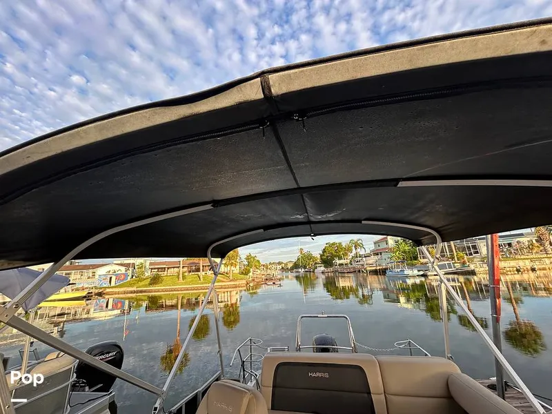 Slide: The Image of Harris 230 2024 - 15677934