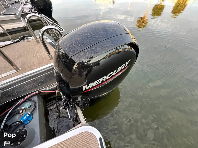 Slide: The Image of Harris 230 2024 - 15677893