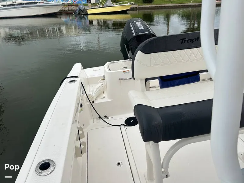 Slide: The Image of Trophy T24CC 2025 - 15638717