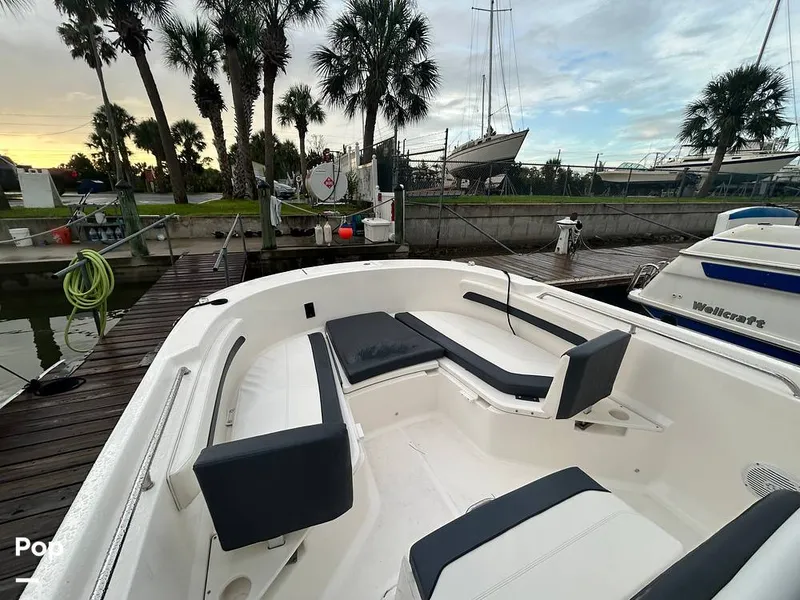 Slide: The Image of Trophy T24CC 2025 - 15638707