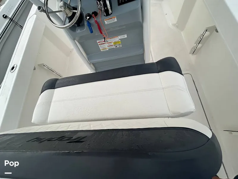 Slide: The Image of Trophy T24CC 2025 - 15638726