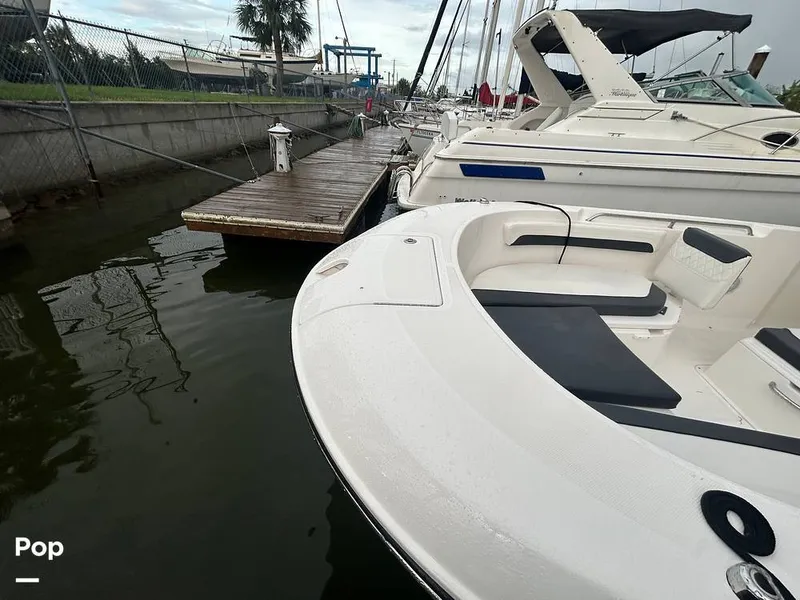 Slide: The Image of Trophy T24CC 2025 - 15638737