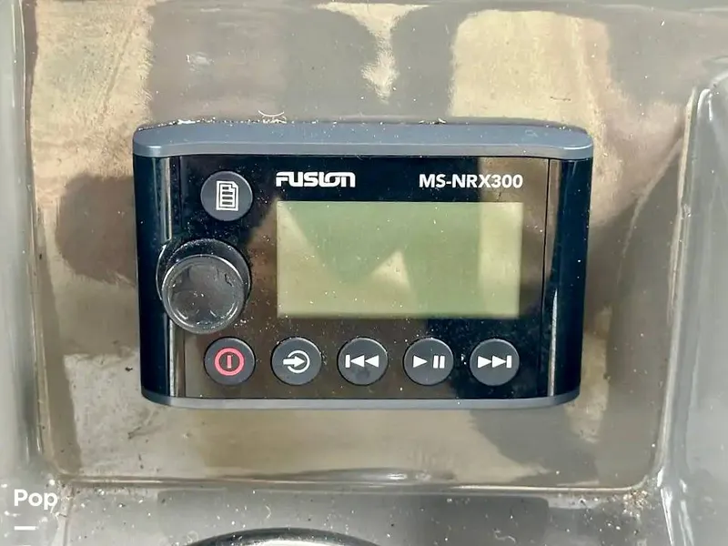 Slide: The Image of Schaefer 303 2021 - 15999426