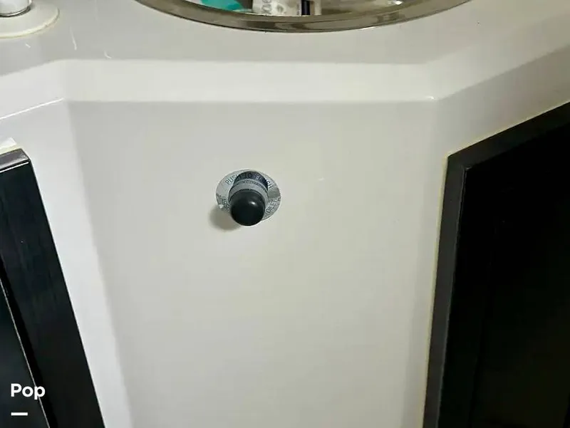 Slide: The Image of Schaefer 303 2021 - 15999432