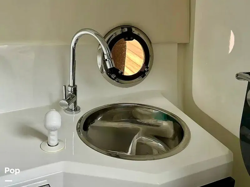 Slide: The Image of Schaefer 303 2021 - 15999435