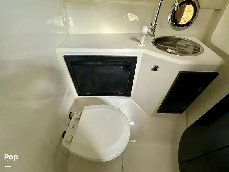 Slide: The Image of Schaefer 303 2021 - 15999437