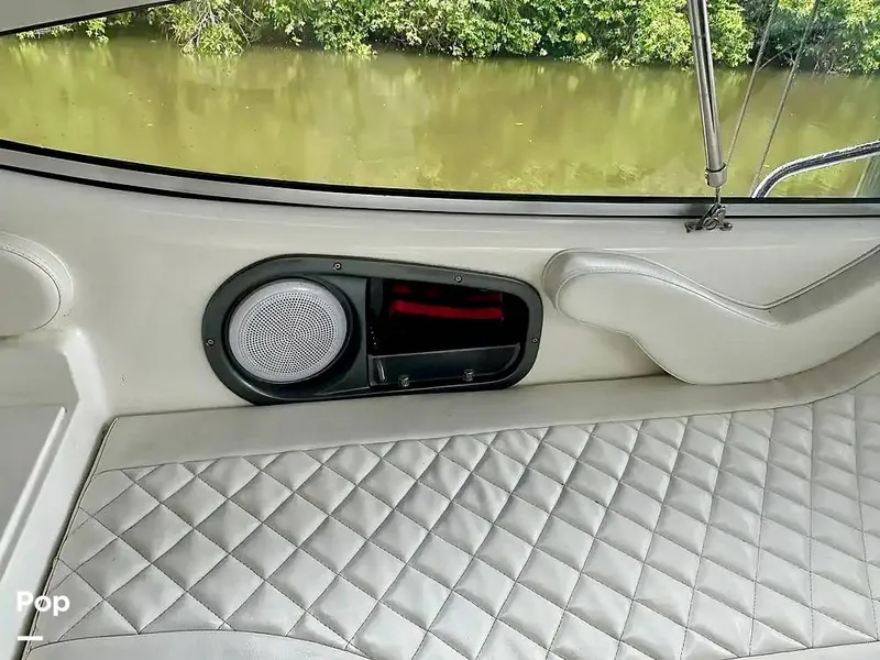 Slide: The Image of Schaefer 303 2021 - 15999453