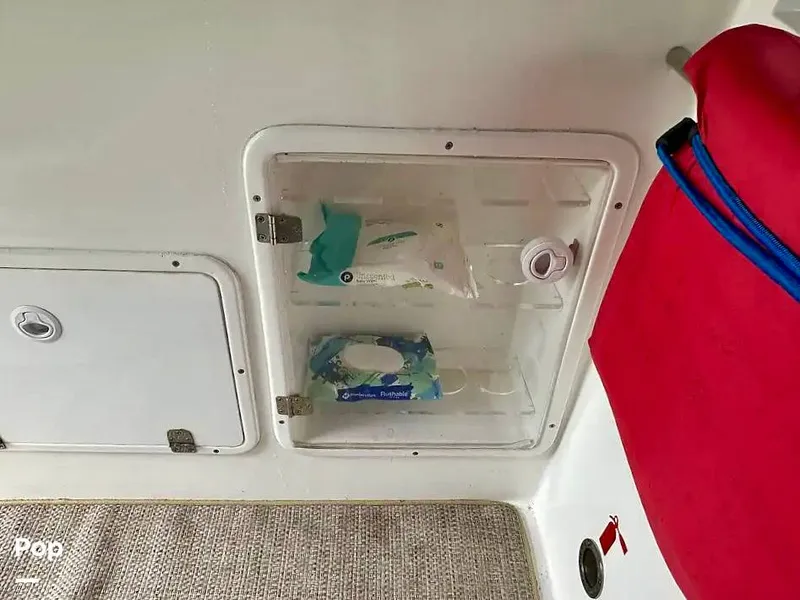 Slide: The Image of Schaefer 303 2021 - 15999454