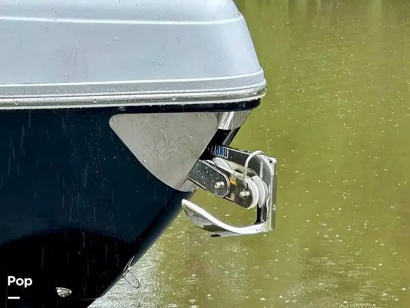 Slide: The Image of Schaefer 303 2021 - 15999468