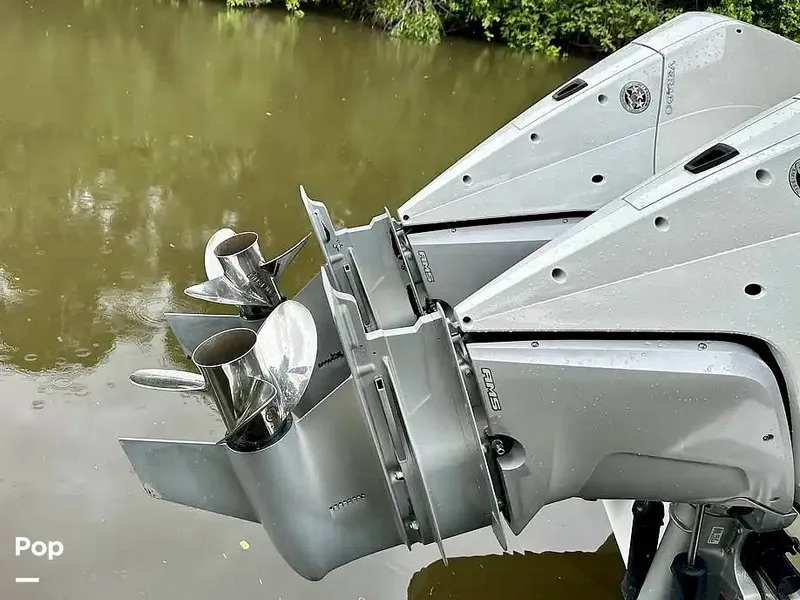 Slide: The Image of Schaefer 303 2021 - 15999472