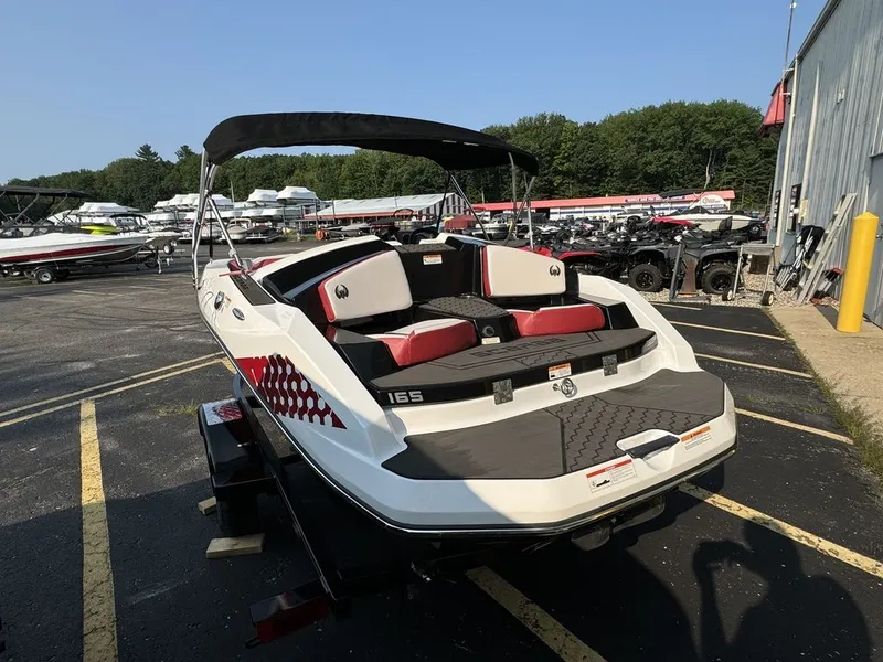 Slide: The Image of Scarab 165 ID 2024 - 11