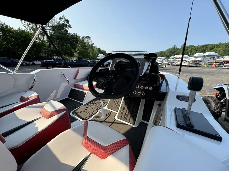 Slide: The Image of Scarab 165 ID 2024 - 14