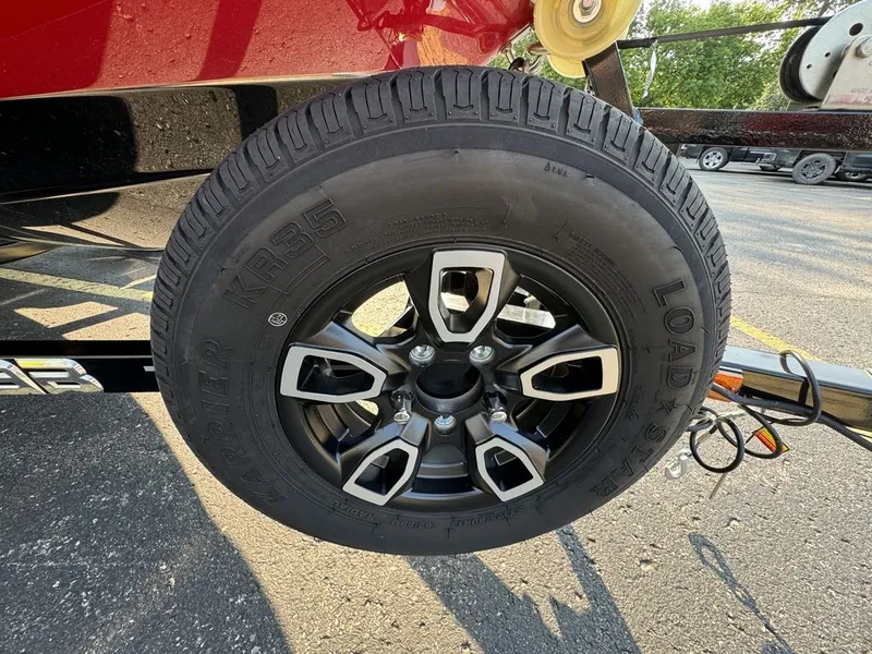 Slide: The Image of Scarab 165 ID 2024 - 17