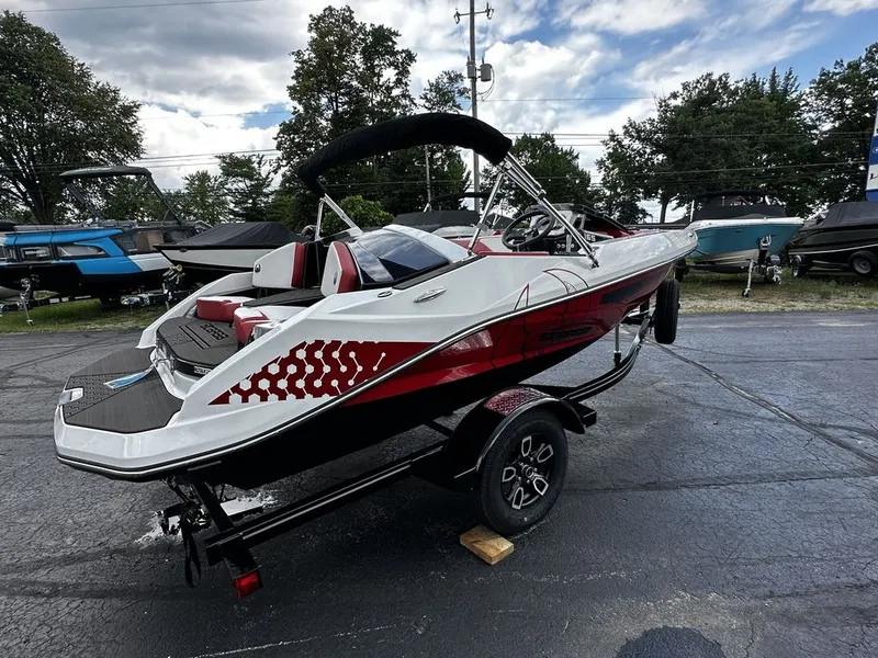 Slide: The Image of Scarab 165 ID 2024 - 3