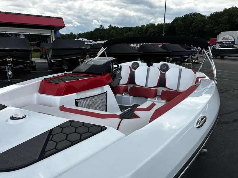 Slide: The Image of Scarab 165 ID 2024 - 4