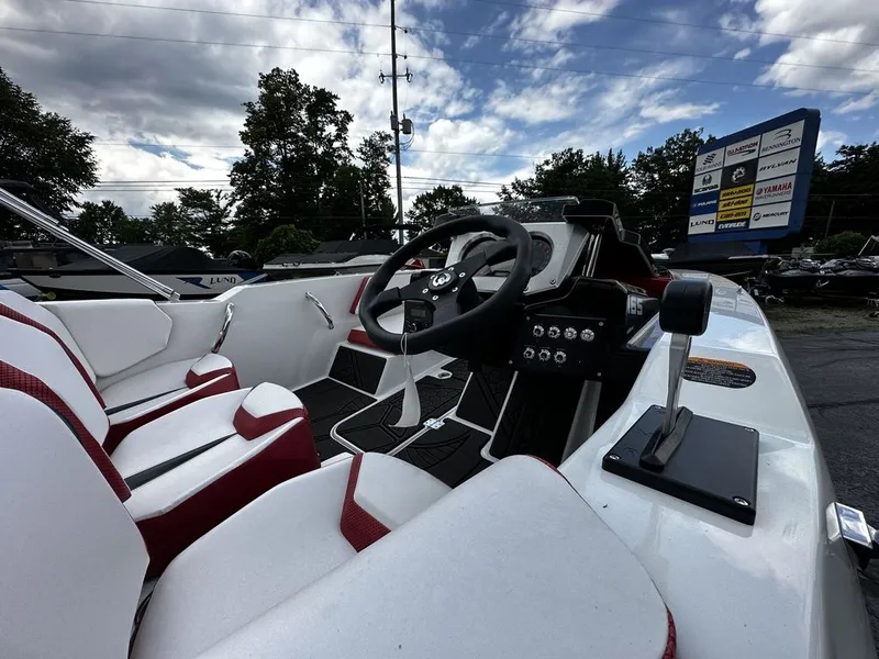 Slide: The Image of Scarab 165 ID 2024 - 5