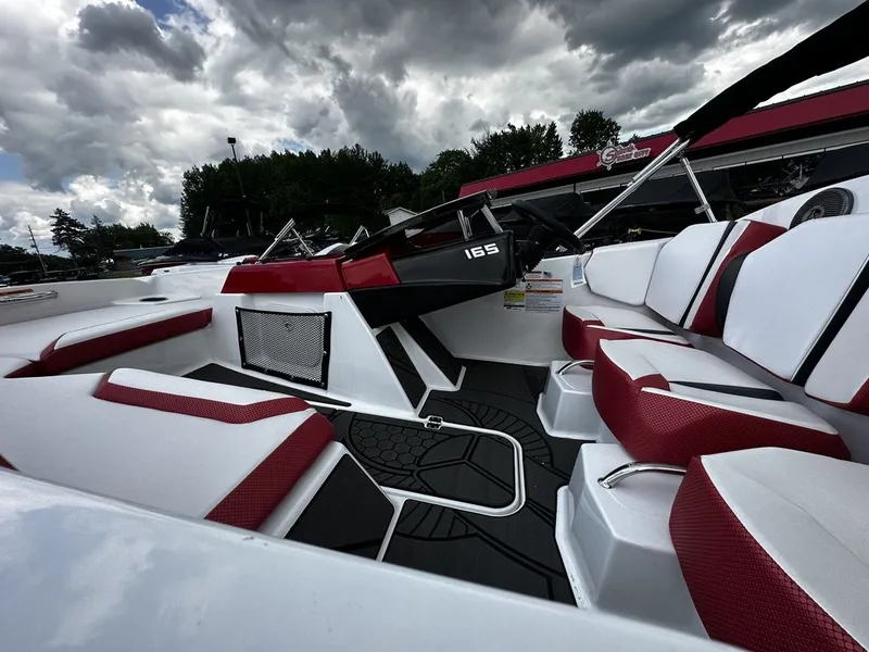 Slide: The Image of Scarab 165 ID 2024 - 6