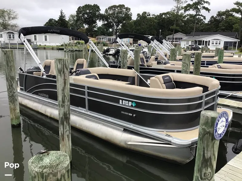 Slide: The Image of Harris HCX23 Cruiser 230 2025 - 16764724