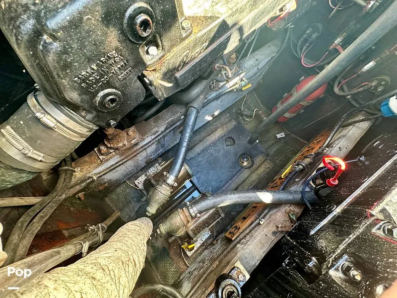 Slide: The Image of Bertram 28 Flybridge Sportfisherman 1975 - 15987181